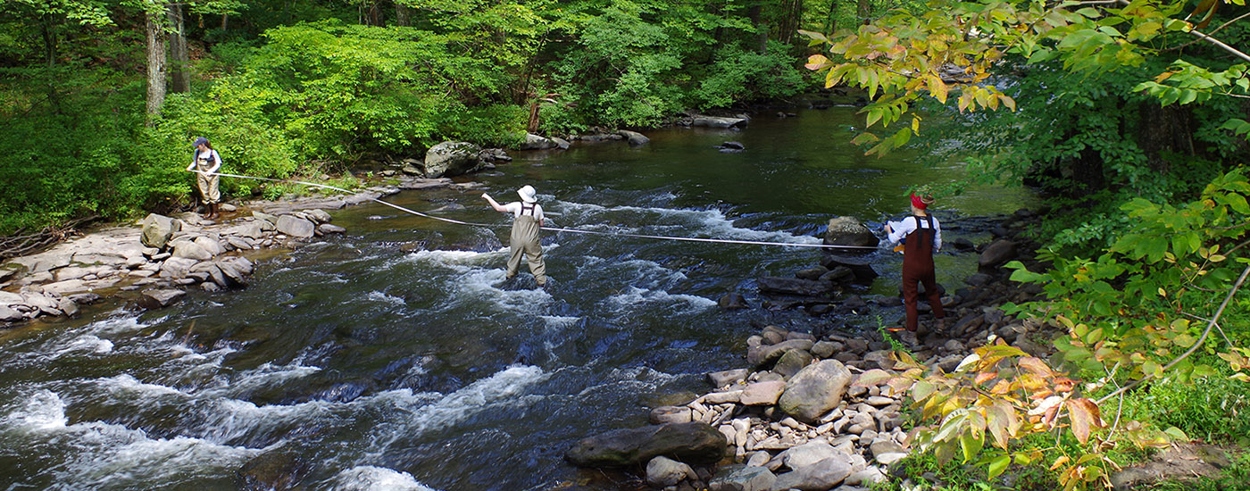 delaware river watershed initiative 